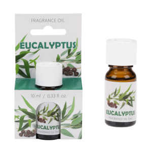 Olejek zapachowy 10ml Eukaliptus RAVI